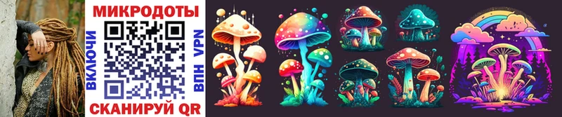Псилоцибиновые грибы Psilocybe Сосновоборск